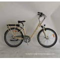2019 E Cycle Electric Bike Folding Electric Bicycle with Lithium Battery